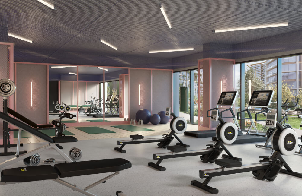 Central Park Central Park