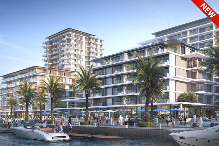 سيردانا في ميناء راشد