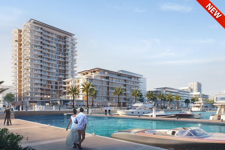 Seashore at Mina Rashid