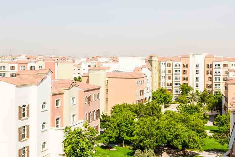 Discovery Gardens Preview