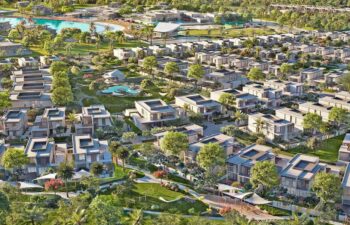 Harmony 12 Harmony 12