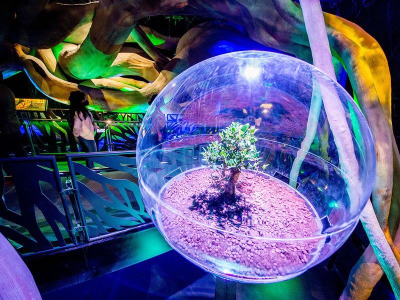 10 Terra - Time to Visit Terra - The Sustainability Pavilion at Dubai Expo 2020