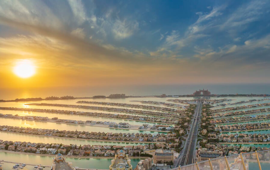 Palm Tower Palm Tower