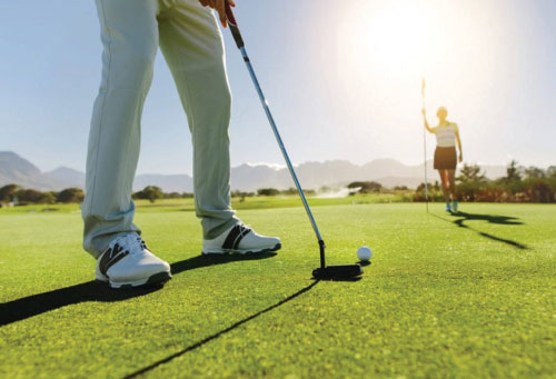 wood 7 - Greenwoods Villas at Damac Hills