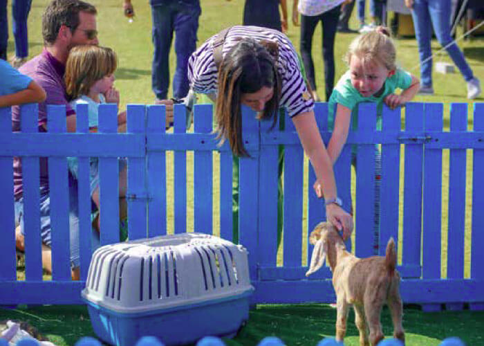 legend 7 - Legend at Damac Hills