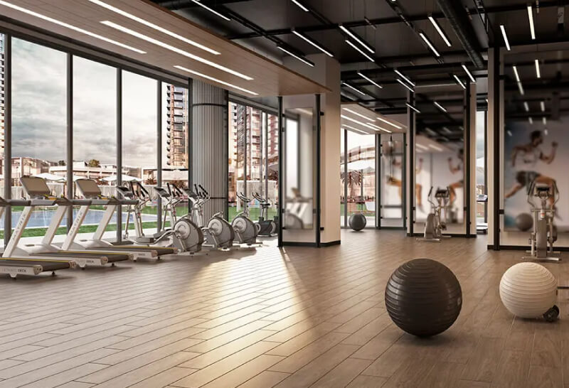 peninsula 6 - Peninsula