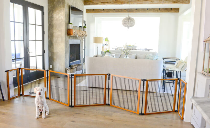 Blockades for pets Blockades for pets