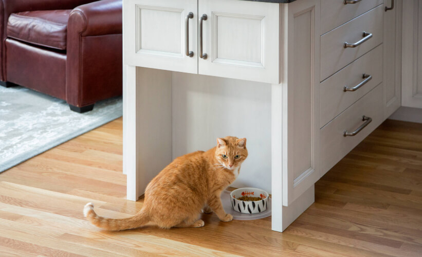 Feeding Area Feeding Area