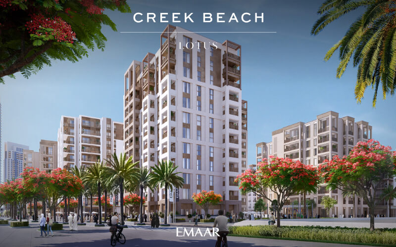 lotus 2 - Creek Beach Lotus