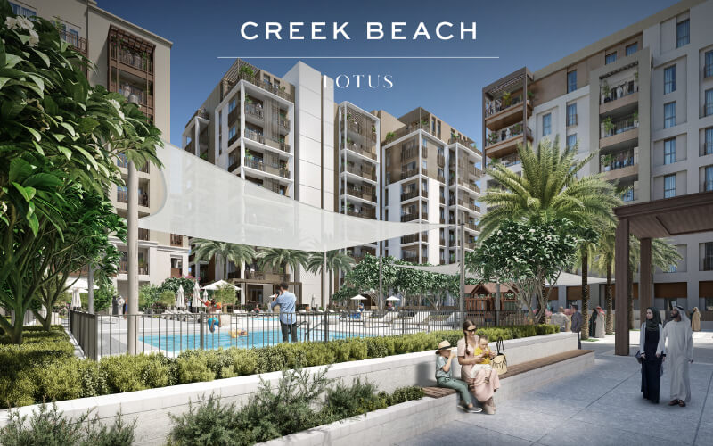 lotus 3 - Creek Beach Lotus