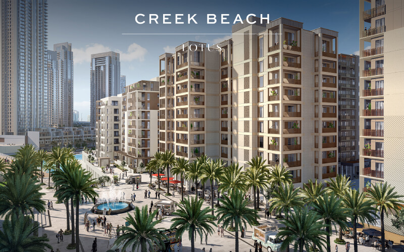 lotus 4 - Creek Beach Lotus