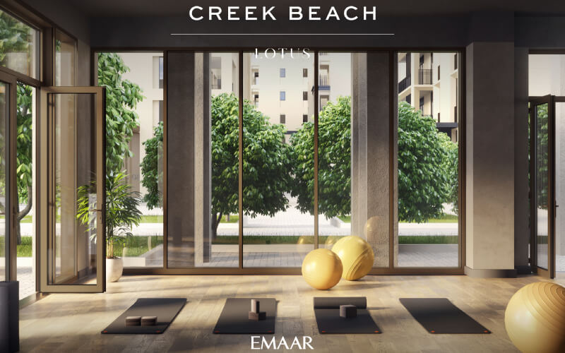 lotus 7 - Creek Beach Lotus