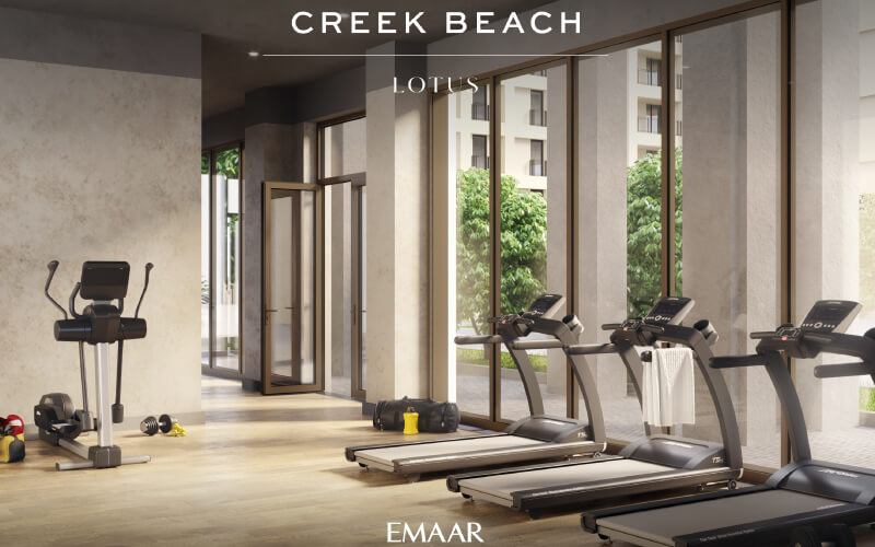 lotus 8 - Creek Beach Lotus