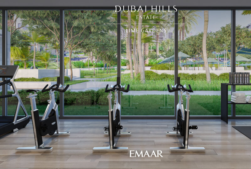 lime 7 - Lime Gardens