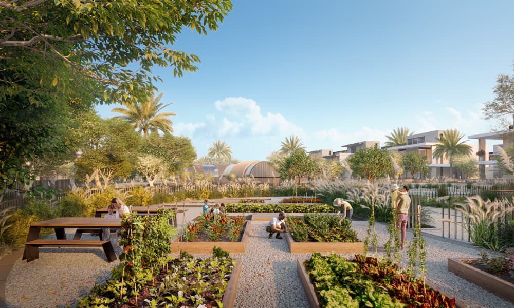 farm 1 - Farm Gardens