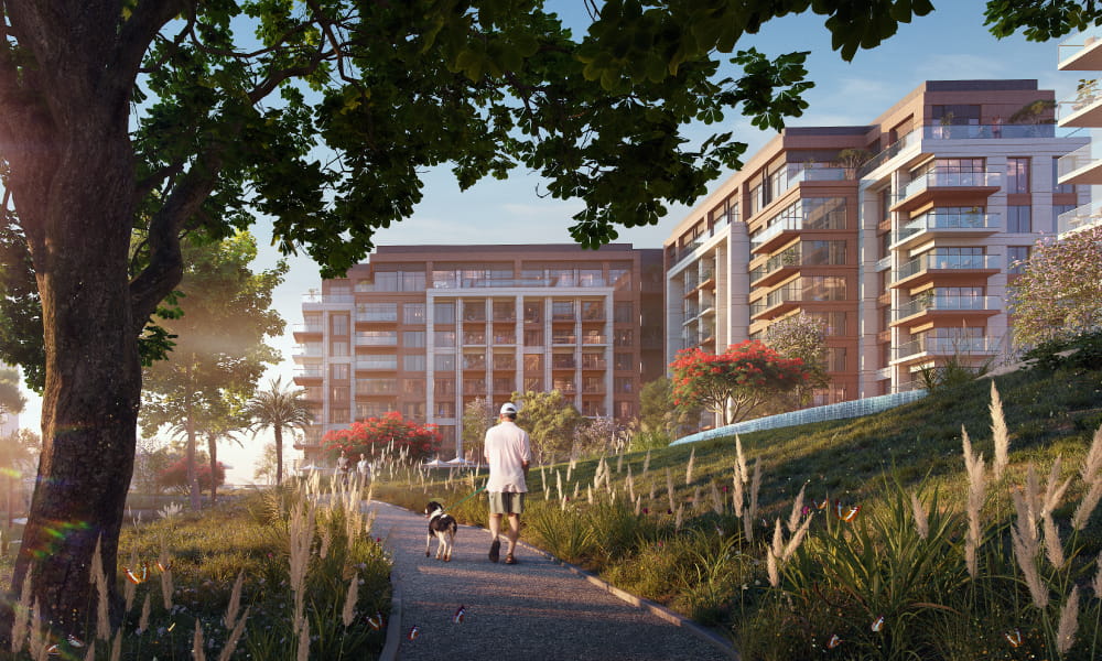 thyme 2 - Thyme at Central Park