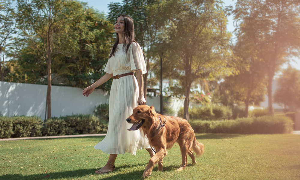 mudon 7 mob - Mudon Al Ranim Phase 7