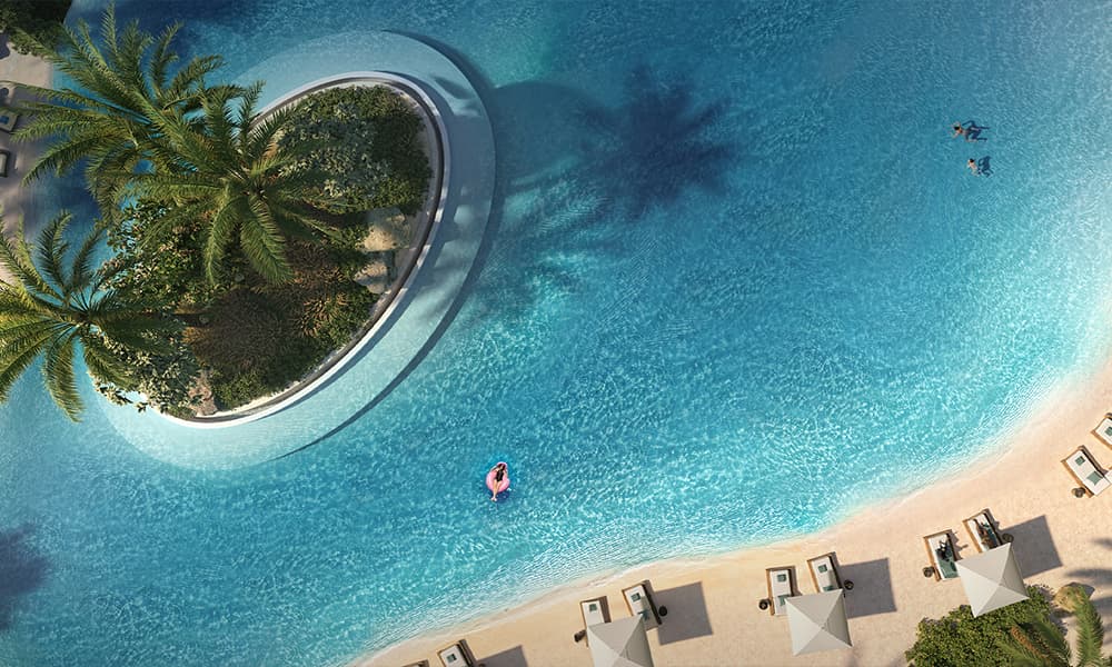 the oasis 6 - Palmiera The Oasis